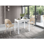 Орфей-42.6 (01) Белый шпон/Белый Стол обеденный 820(1220)х600х750