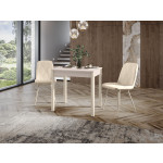 Орфей-42.6 (02) Кашемир/Бежевый Стол обеденный 820(1220)х600х750