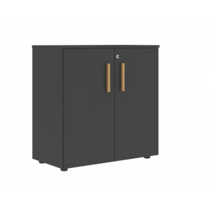 Шкаф с глухими малыми дверьми FLC 80.1(Z)  802x429x819 /Графит/Графит/Дуб/