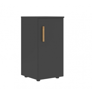 Шкаф колонка с глухой малой дверью  FLC 40.1  399x404x819 /Графит/Графит/Дуб/
