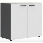 Шкаф с глухими малыми дверьми JLC 85.1  856x450x815 мм/Ясень белый/Антрацит/